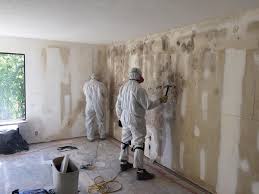 Best Mold Odor Removal Services  in South Windham, CT